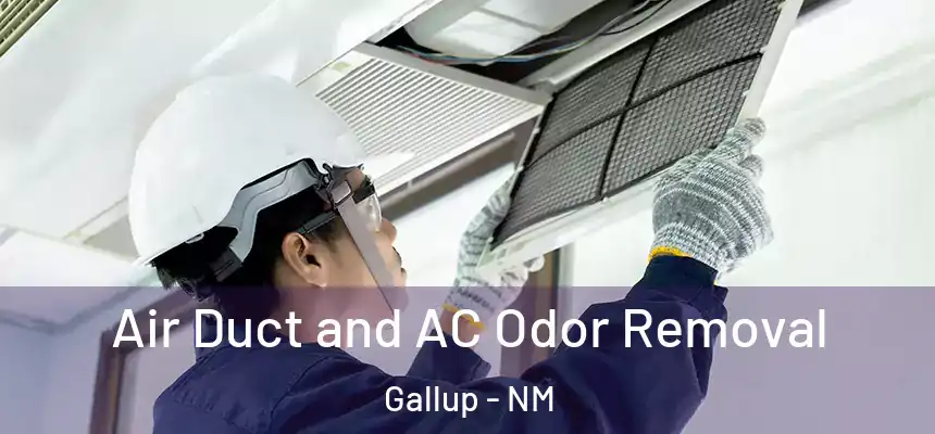 Air Duct and AC Odor Removal Gallup - NM