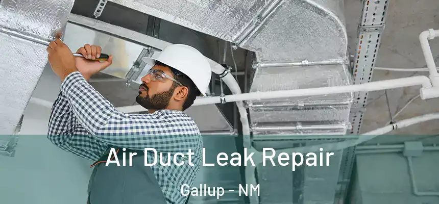  Air Duct Leak Repair Gallup - NM