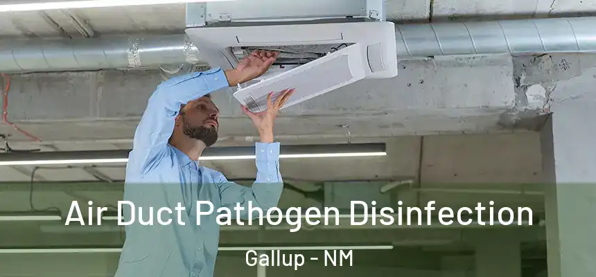 Air Duct Pathogen Disinfection Gallup - NM