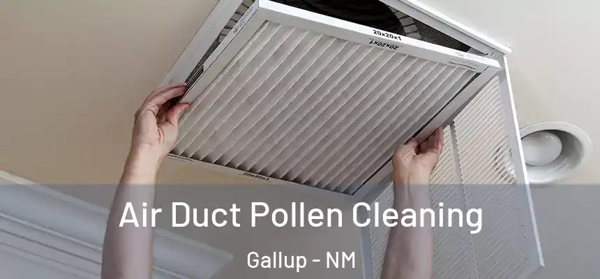 Air Duct Pollen Cleaning Gallup - NM