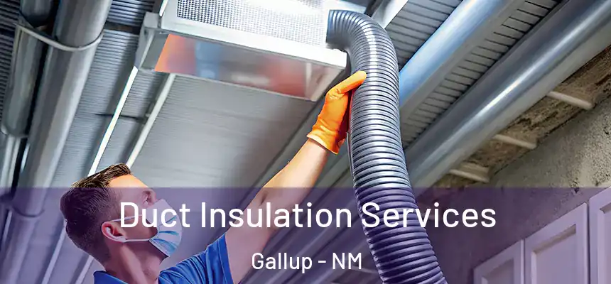 Duct Insulation Services Gallup - NM
