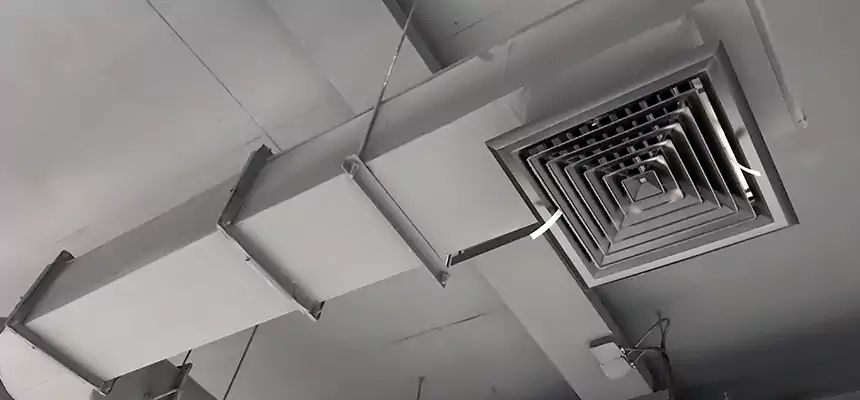 Our Pest Removal From Ducts Services in Gallup, NM