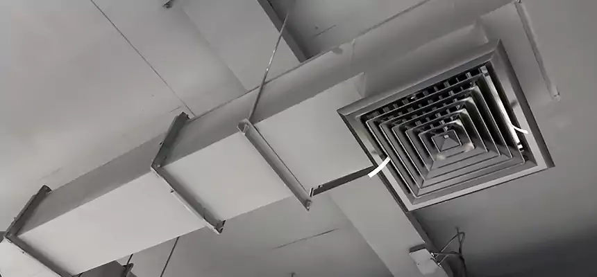 Our Rodent Droppings In Vents Services in Gallup, NM