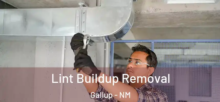 Lint Buildup Removal Gallup - NM
