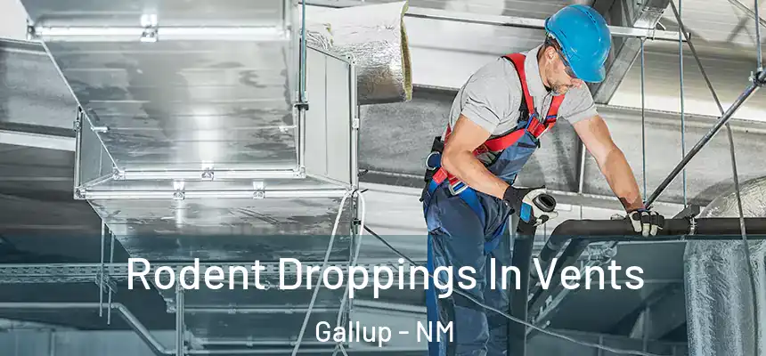  Rodent Droppings In Vents Gallup - NM