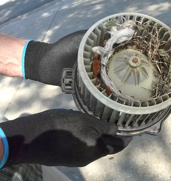 About Air Duct Rat Removal in Gallup, NM