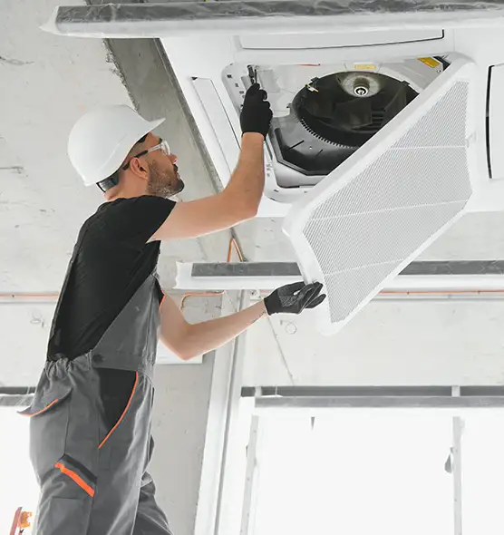 About Air Duct Rodent Removal in Gallup, NM