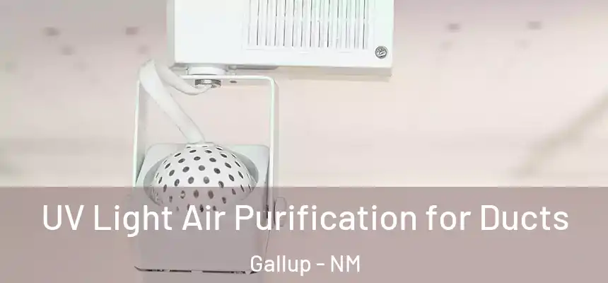  UV Light Air Purification for Ducts Gallup - NM